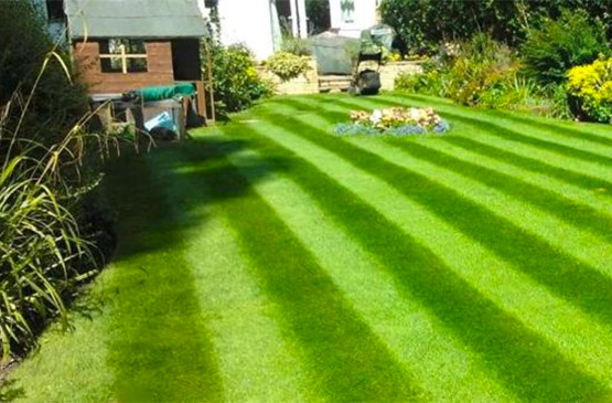 Garden Maintenance Doncaster