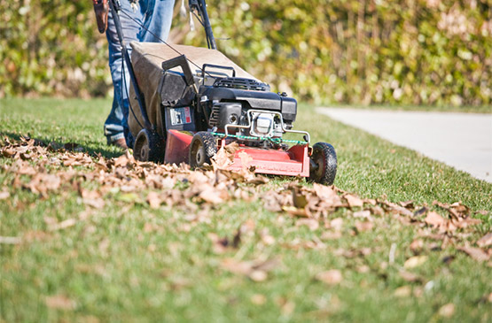 Garden Maintenance Doncaster